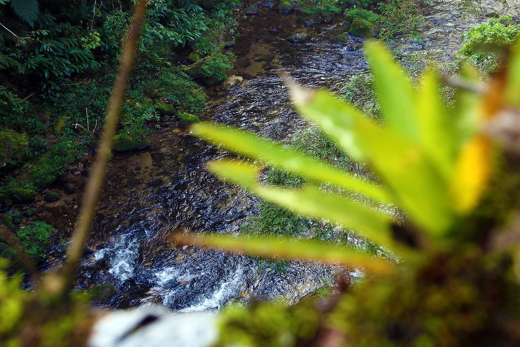 Refugio Ecologico Amadamata 호텔 노바프리부르구 외부 사진
