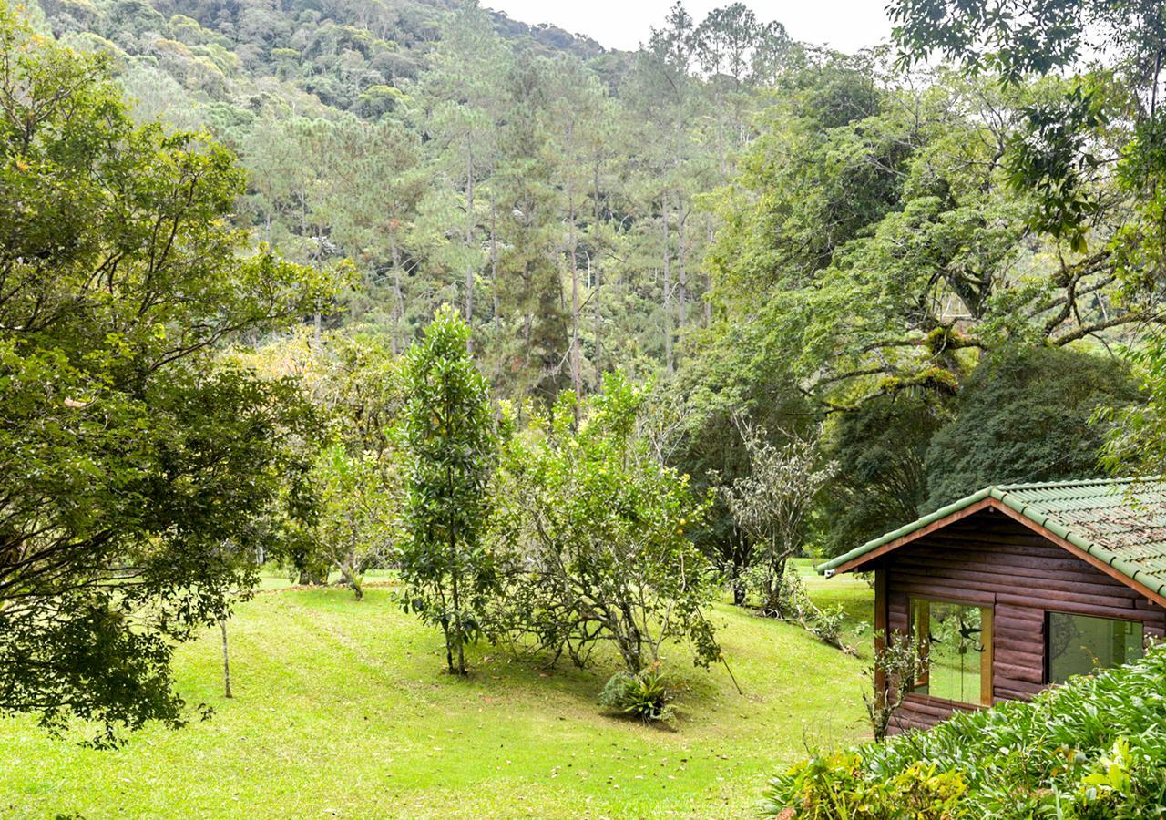 Refugio Ecologico Amadamata 호텔 노바프리부르구 외부 사진