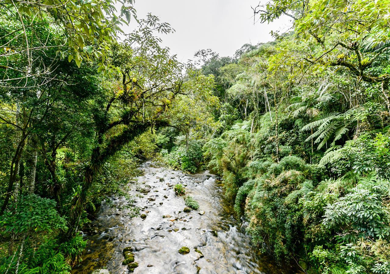 Refugio Ecologico Amadamata 호텔 노바프리부르구 외부 사진