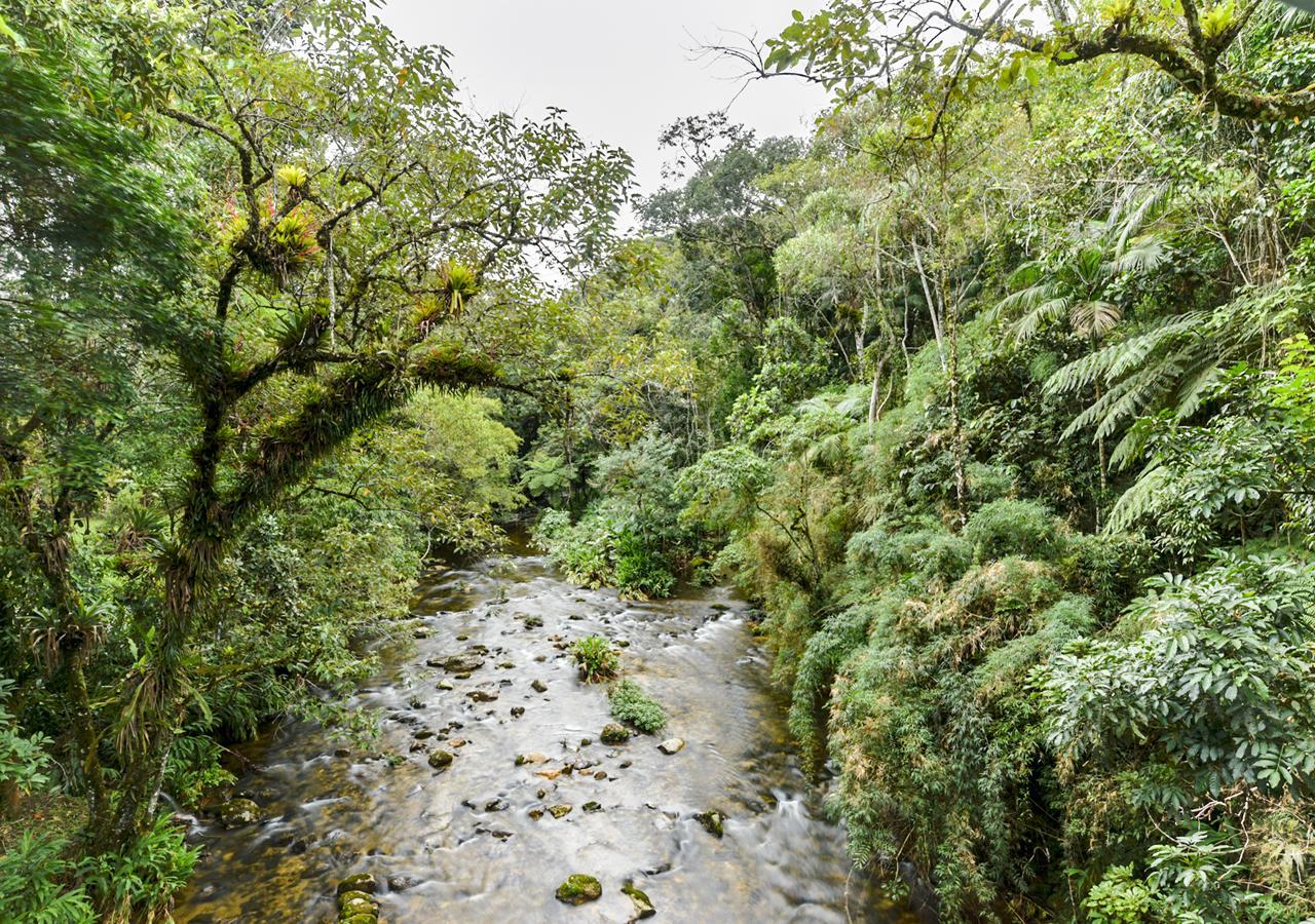 Refugio Ecologico Amadamata 호텔 노바프리부르구 외부 사진