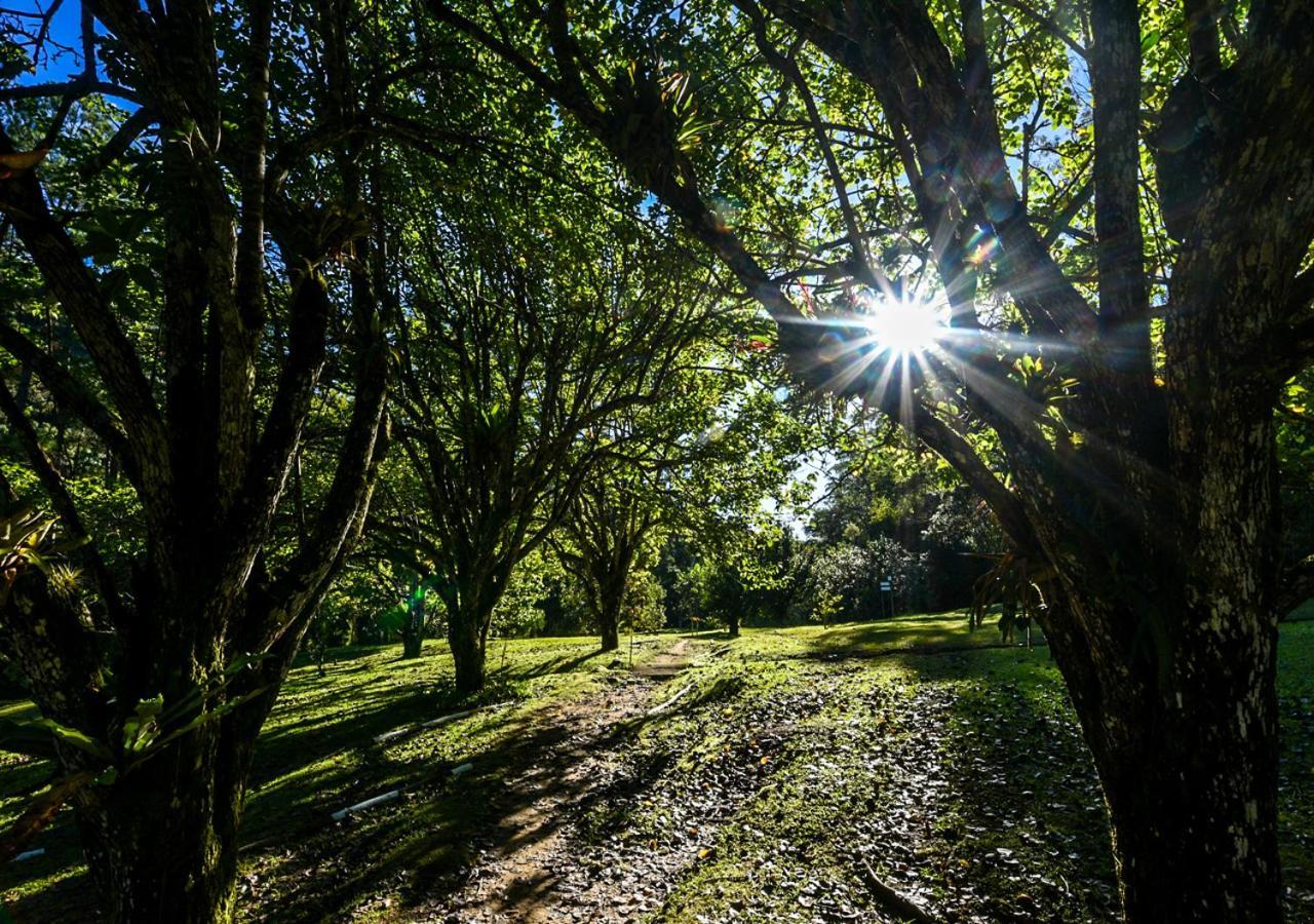 Refugio Ecologico Amadamata 호텔 노바프리부르구 외부 사진
